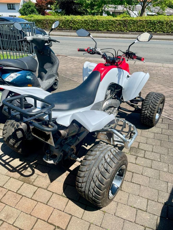 Yamaha Raptor YFM 700r 2010 — rear view