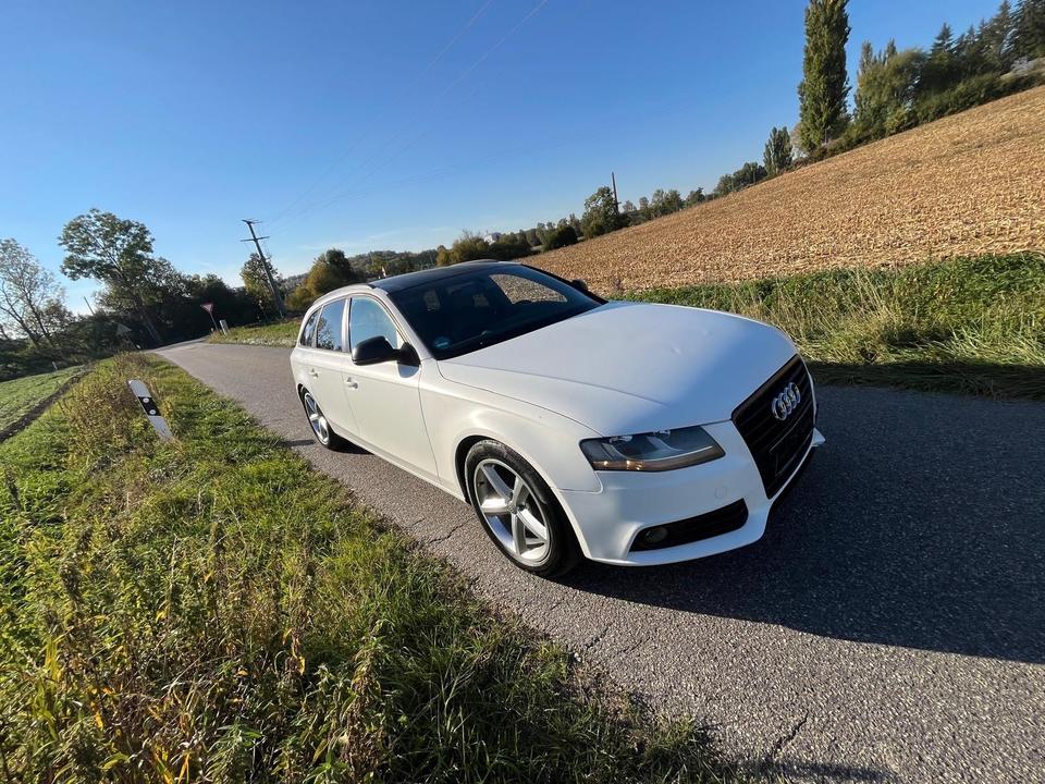 Audi A4 2008 — вигляд ззаду