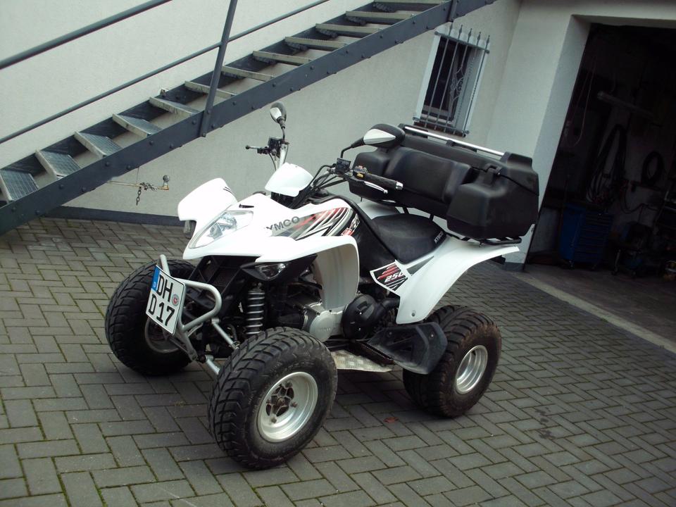 Kymco Quad Kymco Maxxer 250 2009 — rear view