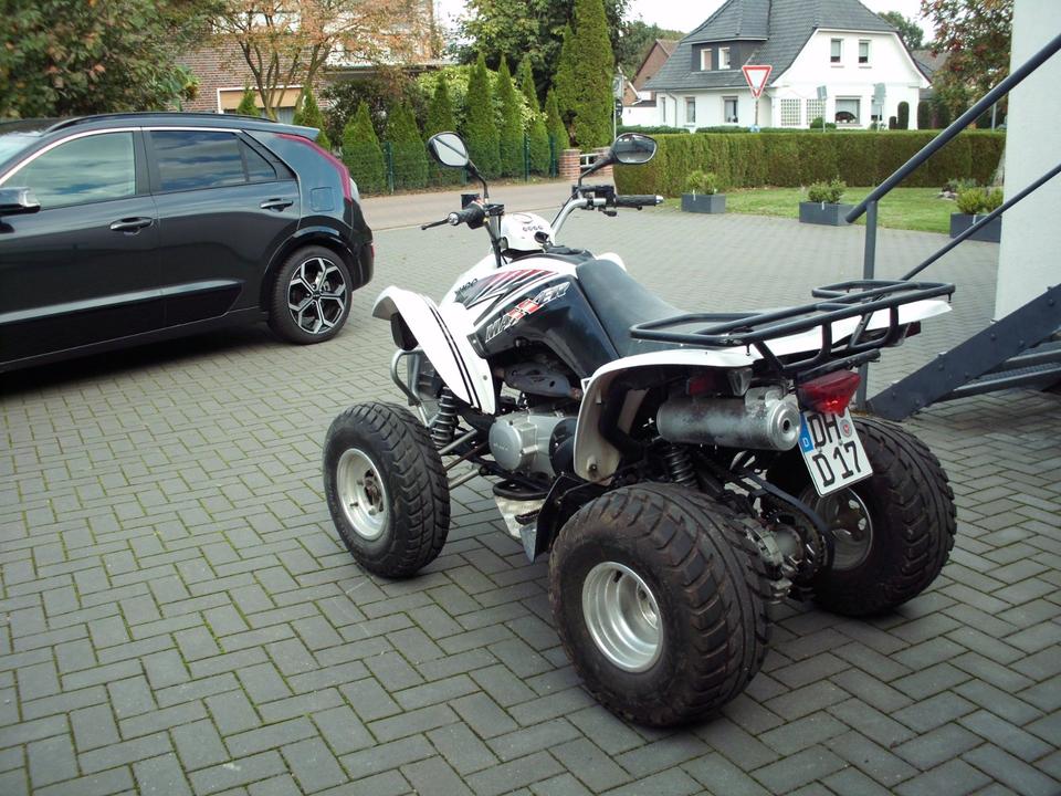 Kymco Quad Kymco Maxxer 250 2009 — photo 6