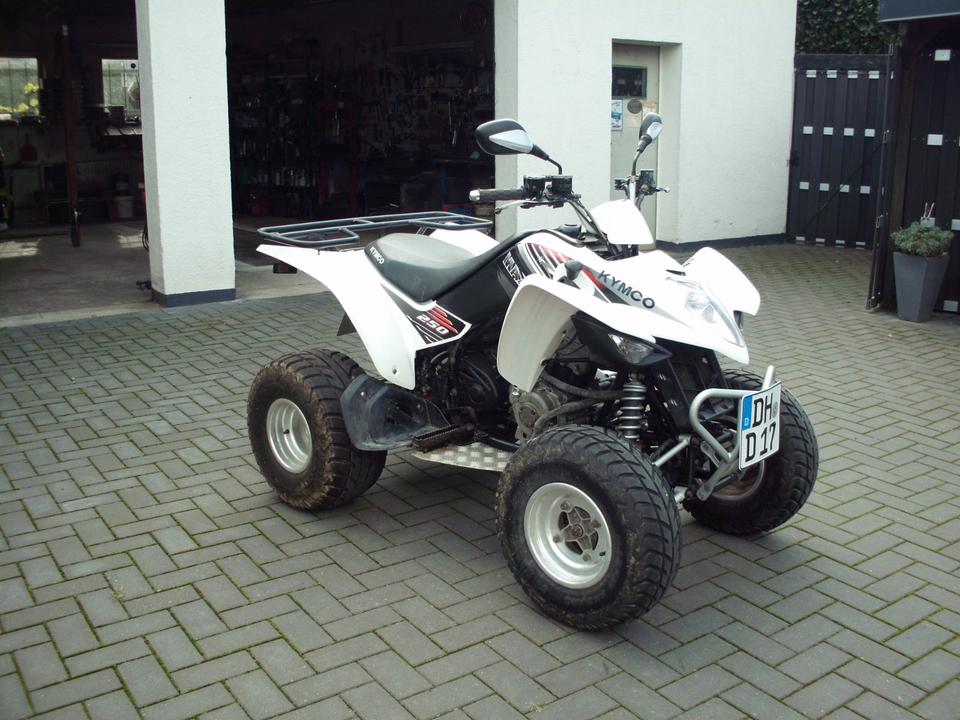 Kymco Quad Kymco Maxxer 250 2009 — photo 9