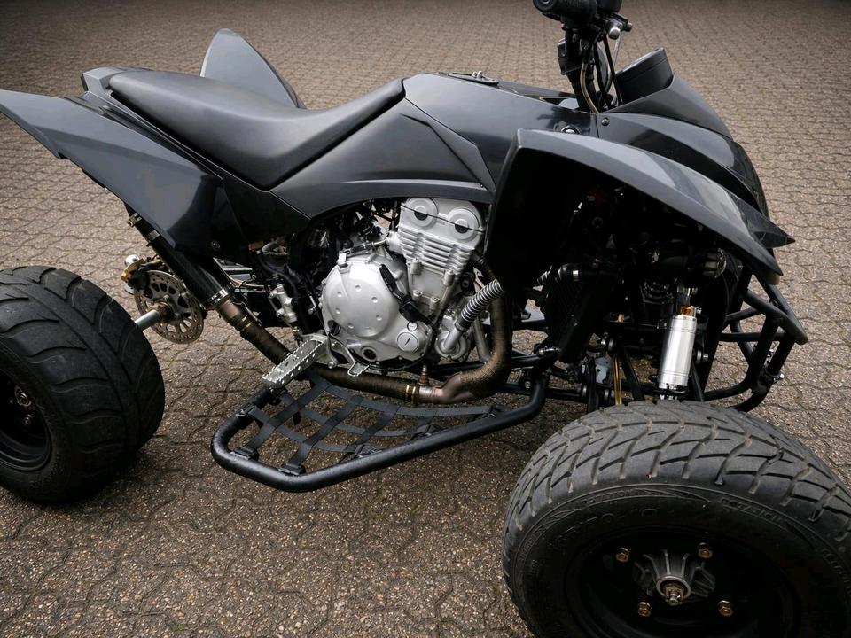  Triton, SMC , Canyon, black lizart, 650ccm ,z650 Tausch 2013 — вигляд ззаду