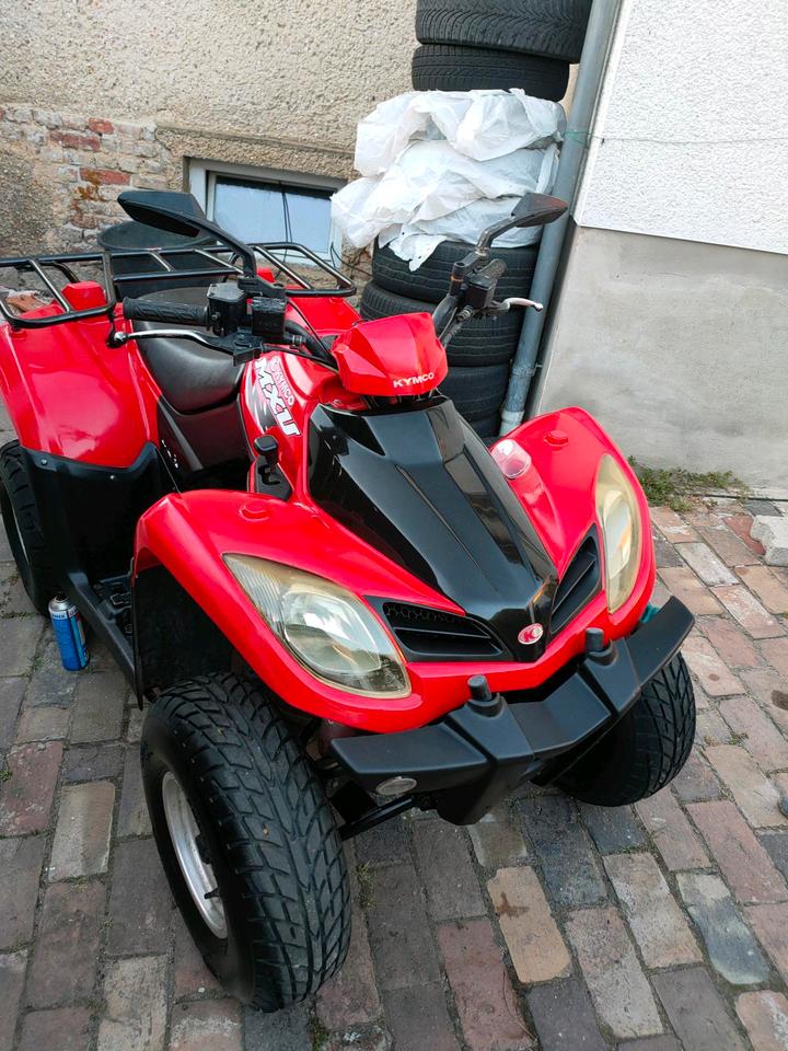 Kymco Mxu 250( Automatik/9400km) 2005 — interior