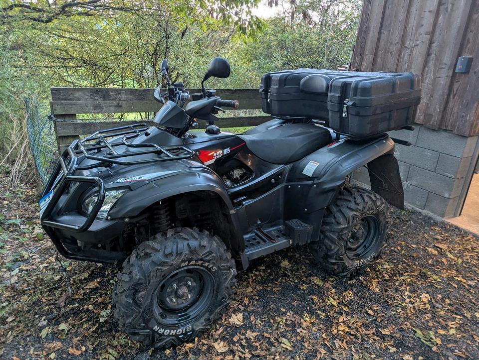 Weitere Motorräder TGB Blade 550 IRS 4x4 LOF wenig km 2015 — rear view