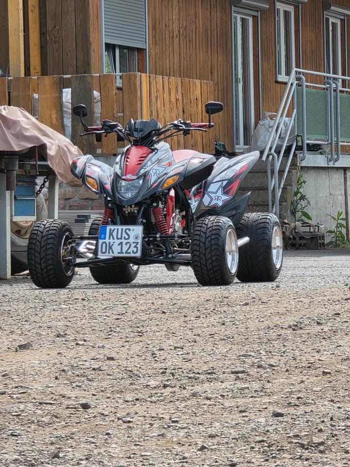 Weitere Motorräder quad Dinli 450 2009 — rear view