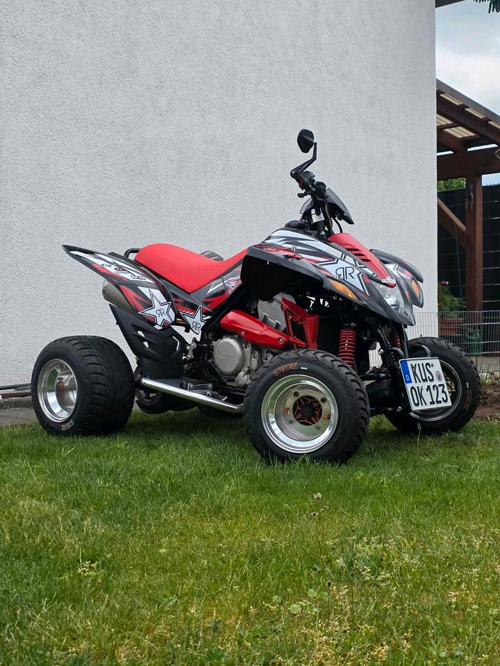 Weitere Motorräder quad Dinli 450 2009 — interior