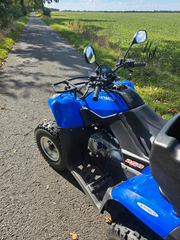 Kymco MXU 250 2012 — interior
