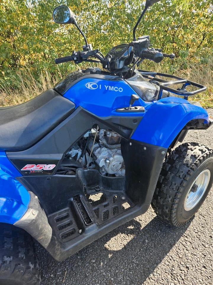 Kymco MXU 250 2012 — engine 250 ccm