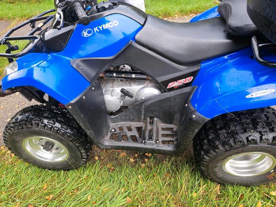 Kymco MXU 250 2012 — photo 7