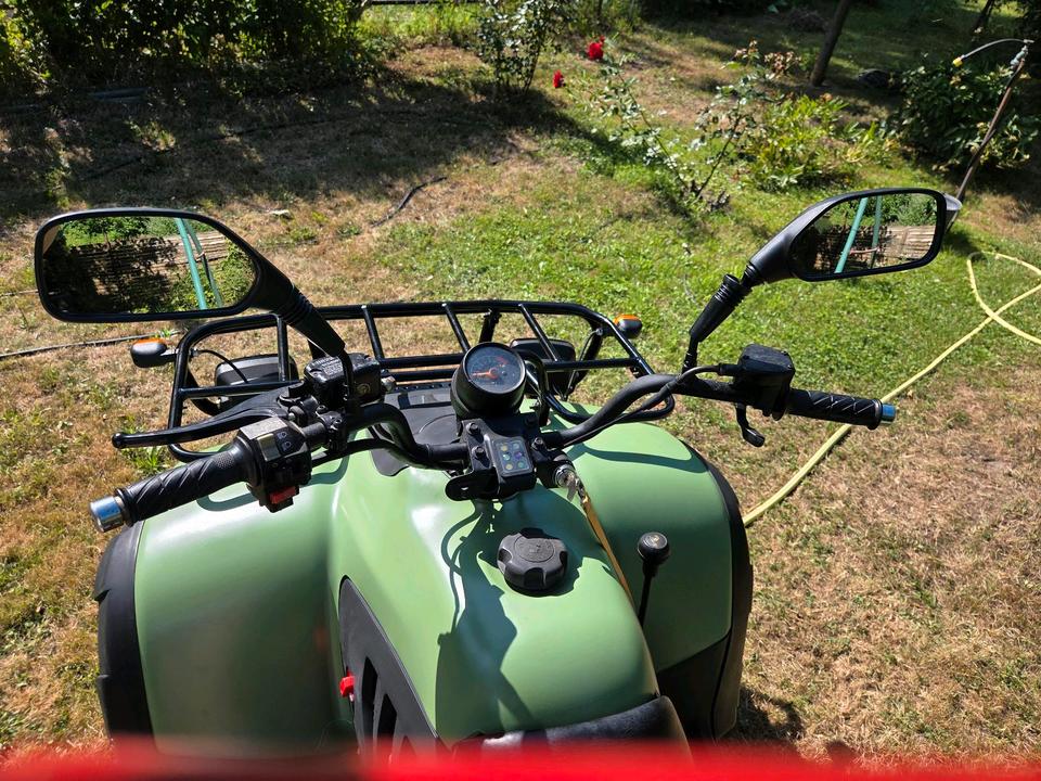Yamaha Quad Linhai 260(Yamaha) 2007 — engine 260 ccm