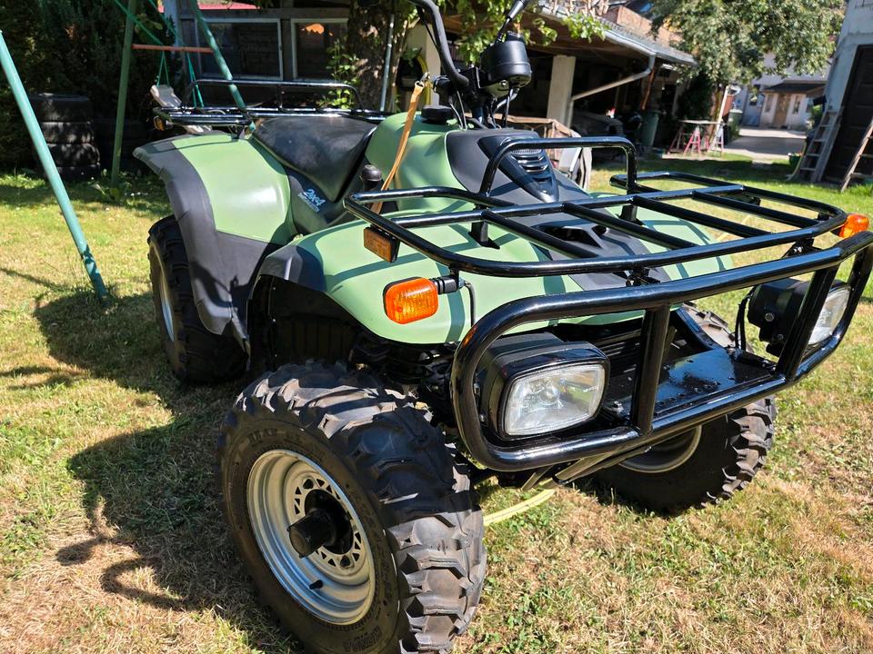 Yamaha Quad Linhai 260(Yamaha) 2007 — photo 6