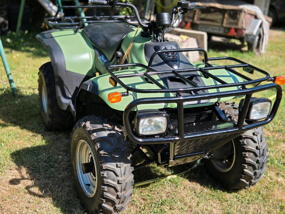 Yamaha Quad Linhai 260(Yamaha) 2007 — photo 9