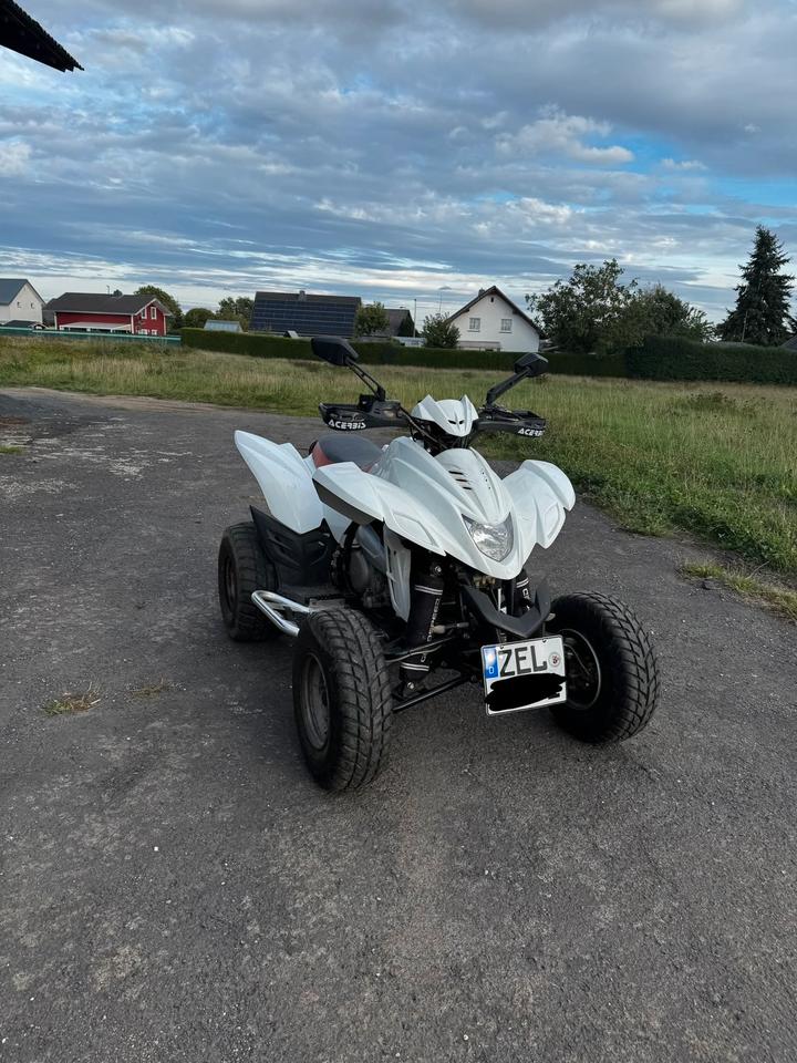 Weitere Motorräder Dinli 450 Quad, 2010
