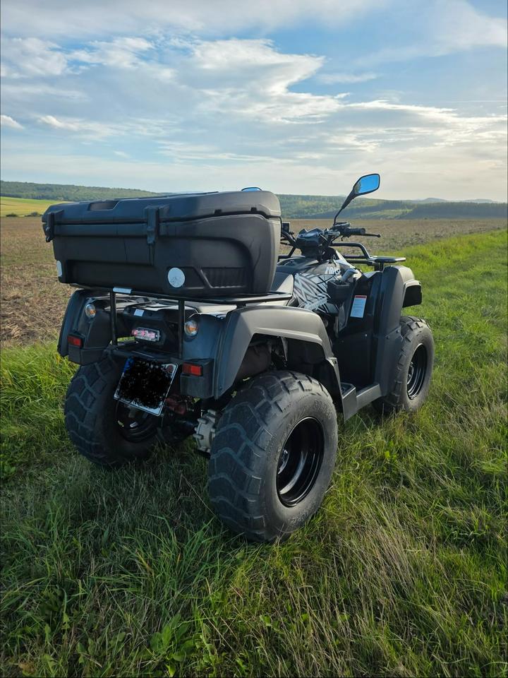 Adly Moto ATV-320SD Quad – TÜV & Inspektion NEU, inkl. Topcase 2015 — vehicle for AFU Ukraine