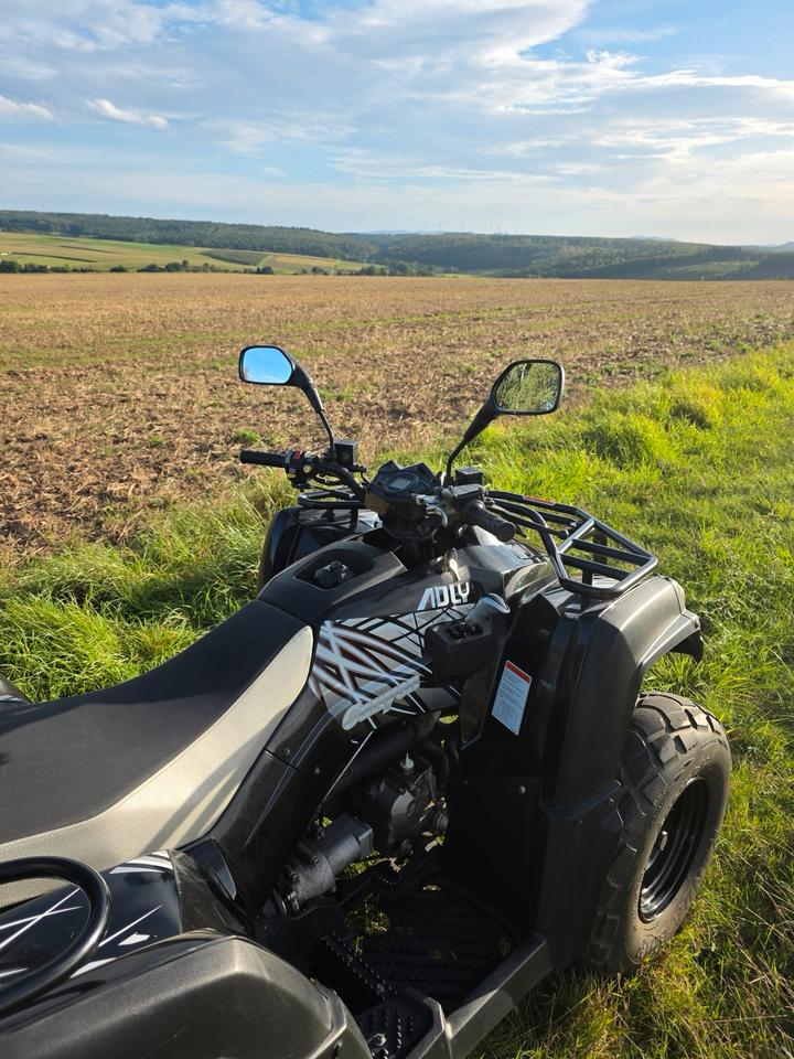  Adly Moto ATV-320SD Quad – TÜV & Inspektion NEU, inkl. Topcase 2015 — фото 10