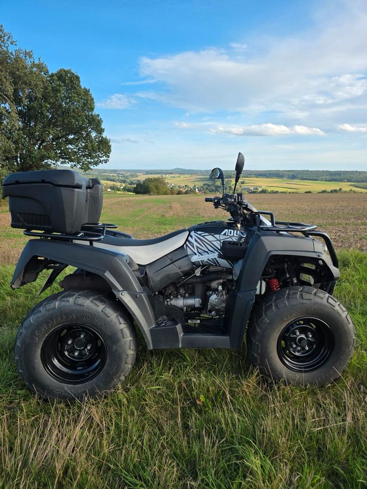  Adly Moto ATV-320SD Quad – TÜV & Inspektion NEU, inkl. Topcase 2015 — вигляд ззаду