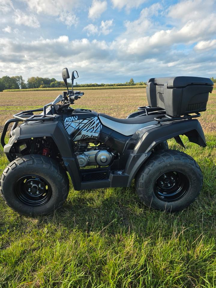  Adly Moto ATV-320SD Quad – TÜV & Inspektion NEU, inkl. Topcase 2015 — фото 8