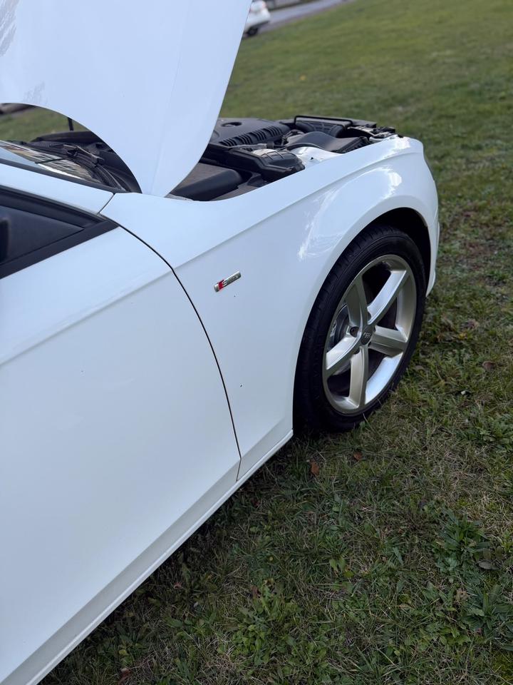 Audi A4 2009 — photo 18