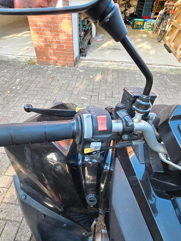 Weitere Motorräder 250ccm Quad 2007 — photo 16