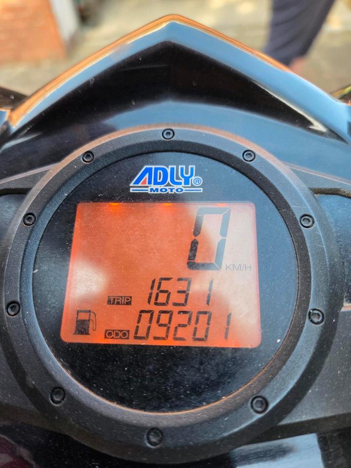 Weitere Motorräder 250ccm Quad 2007 — photo 18