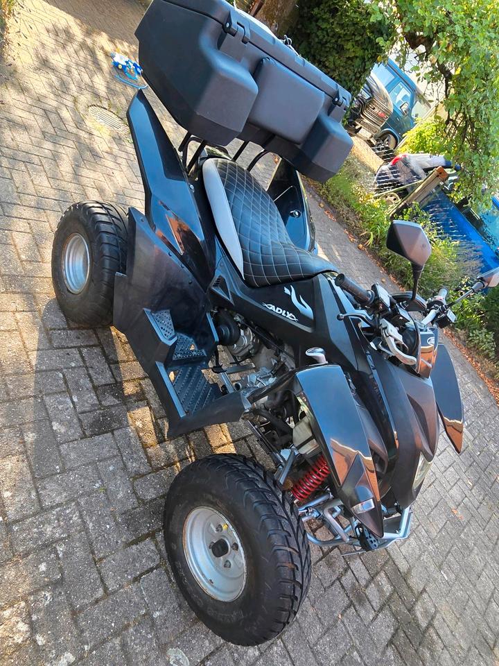 Weitere Motorräder 250ccm Quad 2007 — rear view