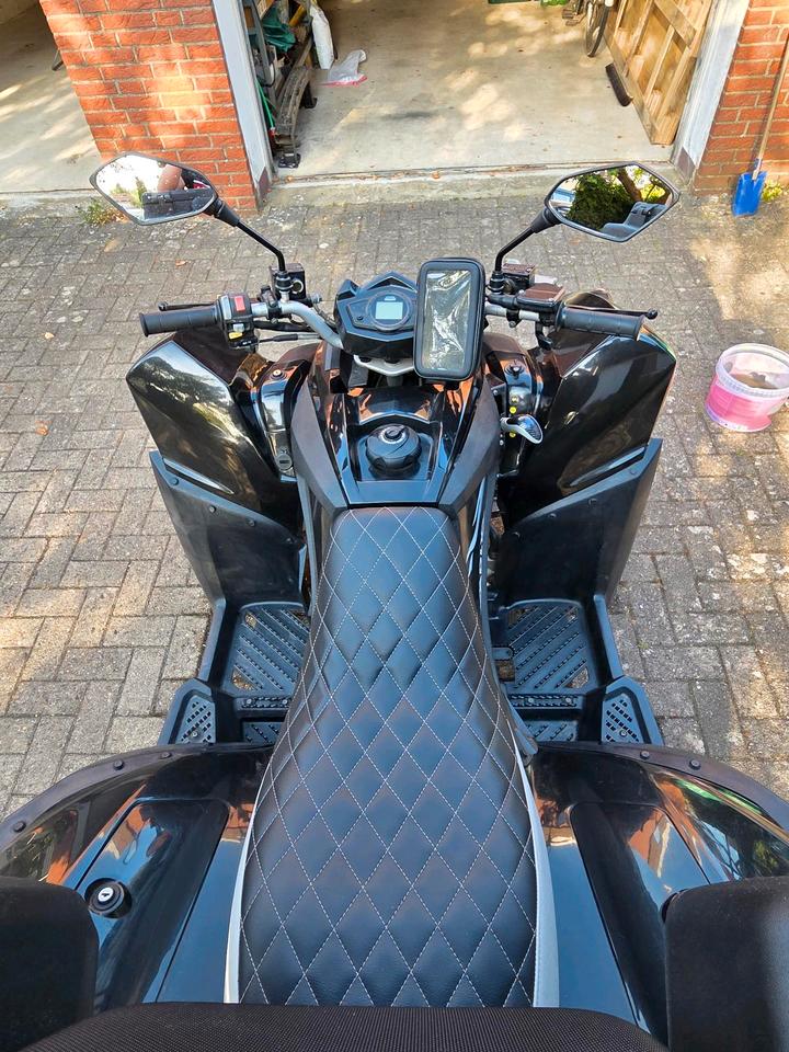 Weitere Motorräder 250ccm Quad 2007 — photo 5