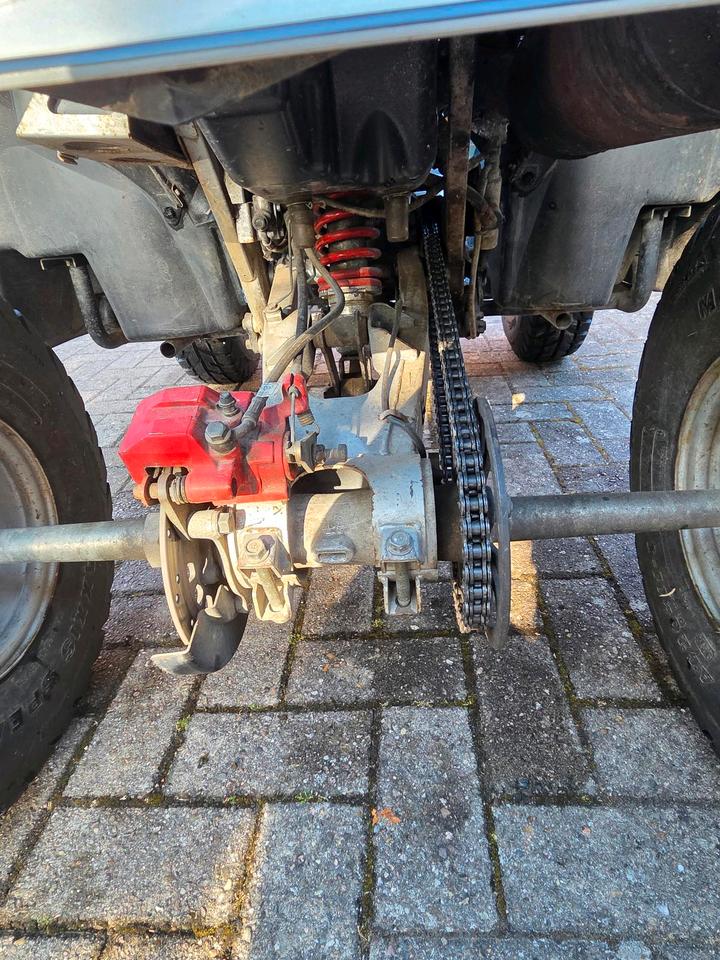 Weitere Motorräder 250ccm Quad 2007 — photo 7