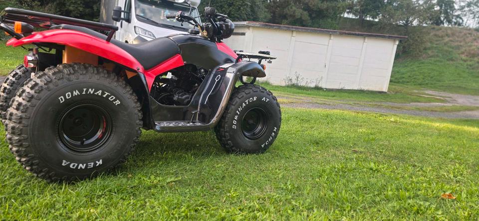 Kymco Gelöscht • kimco mxu 150 cc QUAD 2004 — фото 10