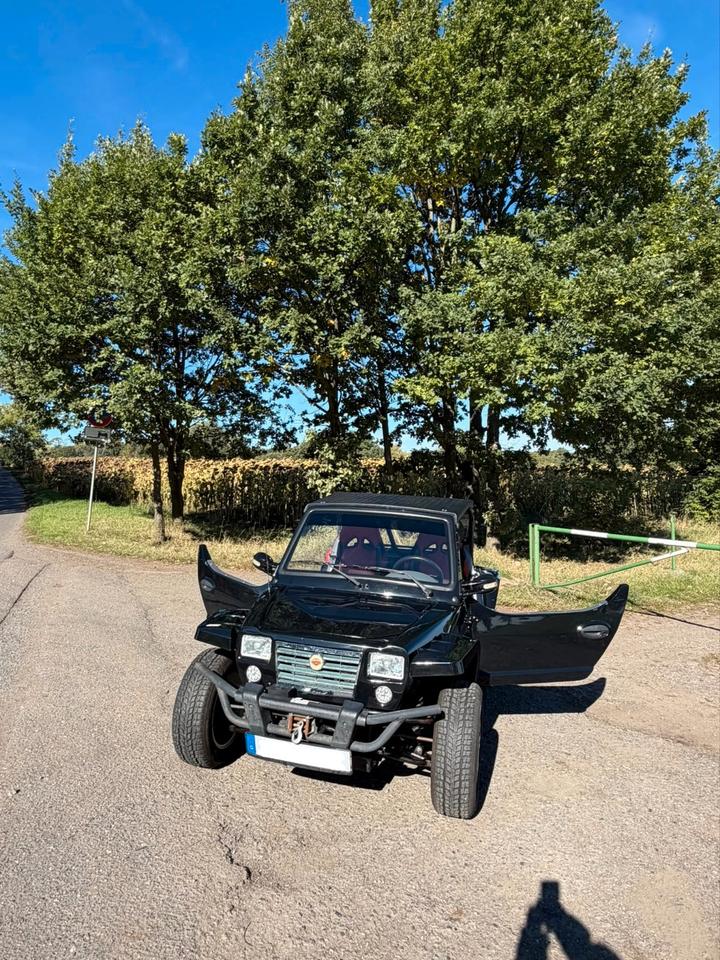 Weitere Motorräder Quadix Buggy 800 2013 — вигляд ззаду