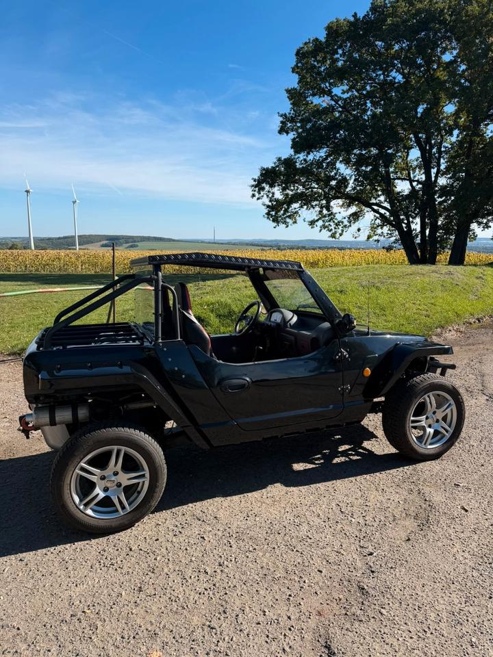 Weitere Motorräder Quadix Buggy 800 2013 — двигун 812 ccm