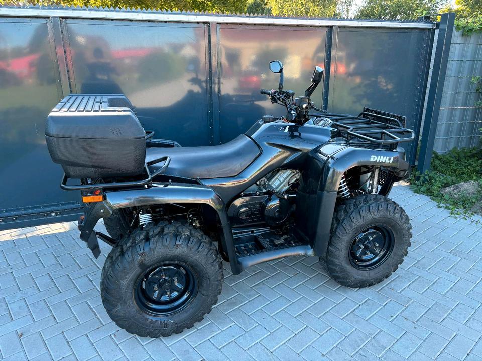 Weitere Motorräder Dinli Centhor 565 600 Quad ATV LoF Zulassung 4x4 2014 — rear view