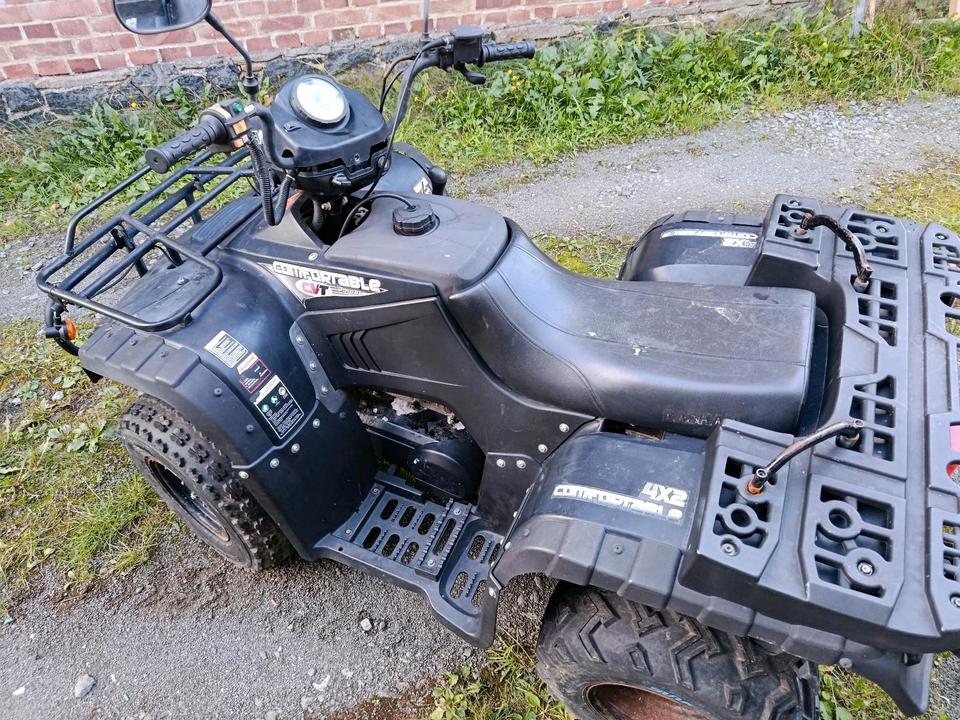  Gelöscht • Bashan 4x2 Quad ATV 2006 — вигляд ззаду