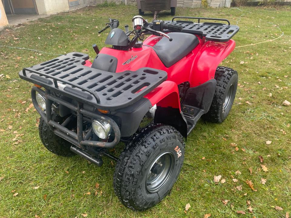 MZ Quad MT 175 ATU Reinmech MZ Bison 2004 — авто для ЗСУ з Європи