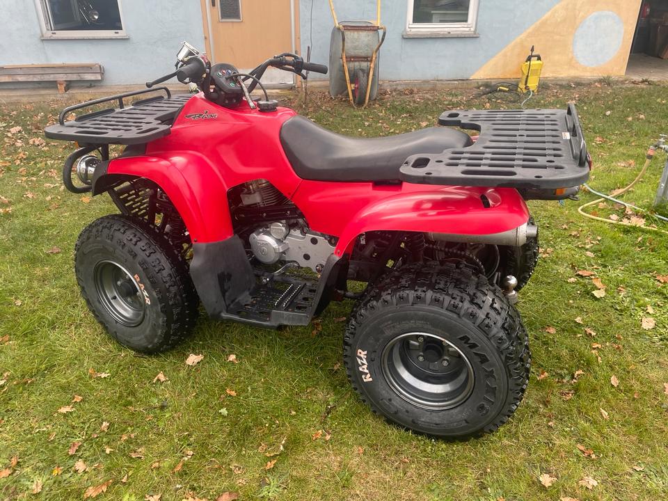 MZ Quad MT 175 ATU Reinmech MZ Bison 2004 — вигляд ззаду
