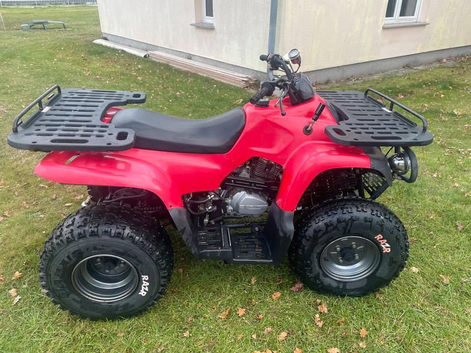 MZ Quad MT 175 ATU Reinmech MZ Bison 2004 — фото 5