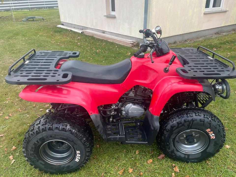 MZ Quad MT 175 ATU Reinmech MZ Bison 2004 — фото 6
