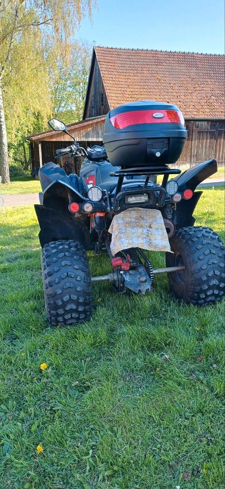Weitere Motorräder Quad Online atv 320 2015 — photo 5