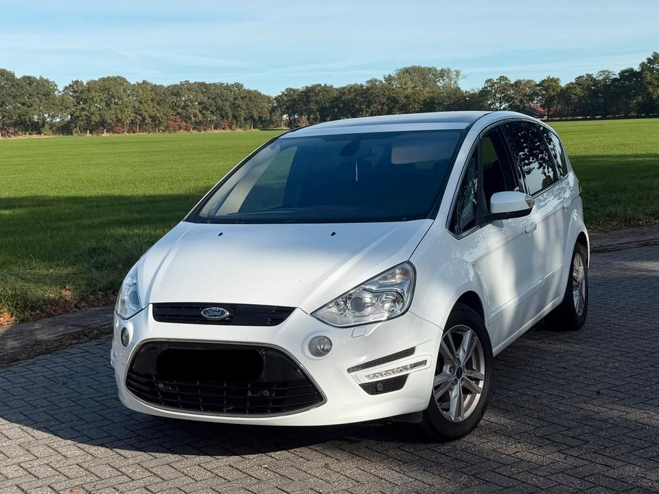 Ford S-Max 2010 — вигляд ззаду