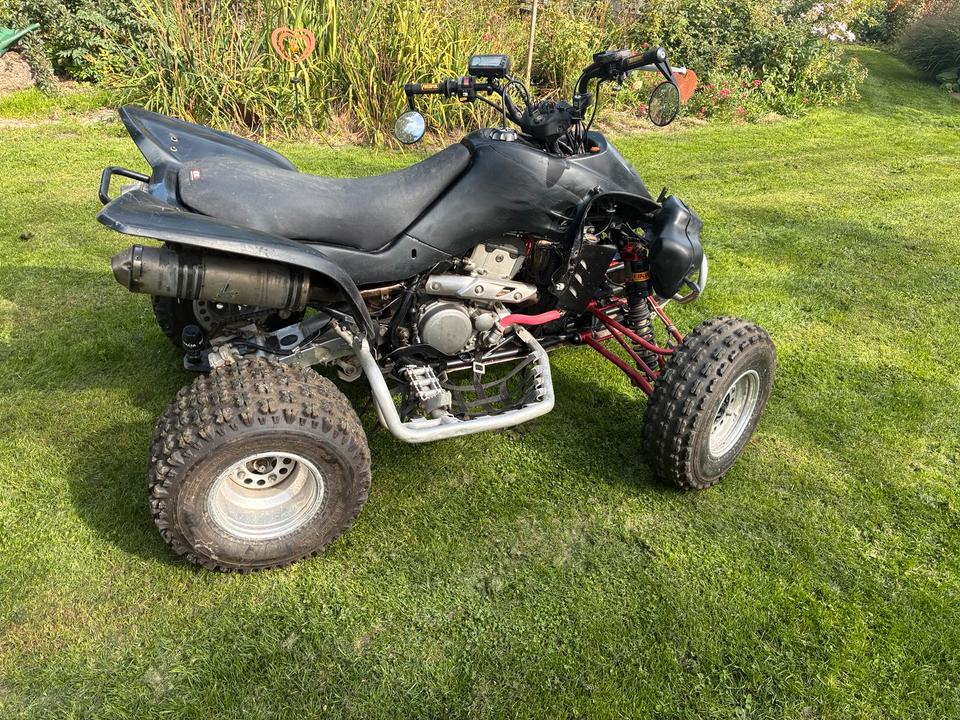 Suzuki LTZ 400 Bj. LOF Douglas Houser Elka Reiger TÜV NEU 2004 — interior