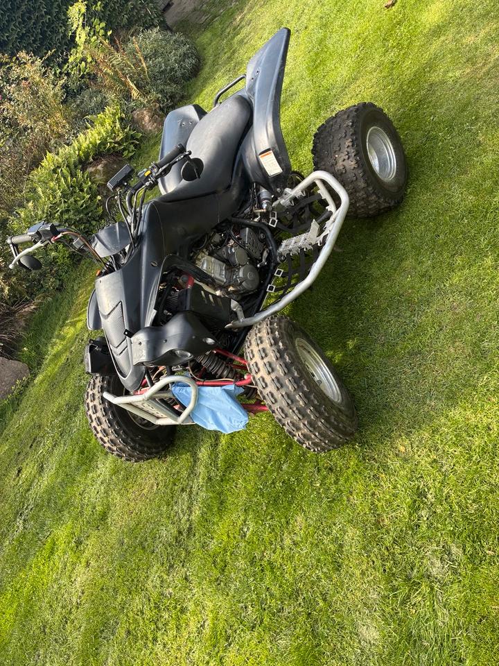 Suzuki LTZ 400 Bj. LOF Douglas Houser Elka Reiger TÜV NEU 2004 — photo 5