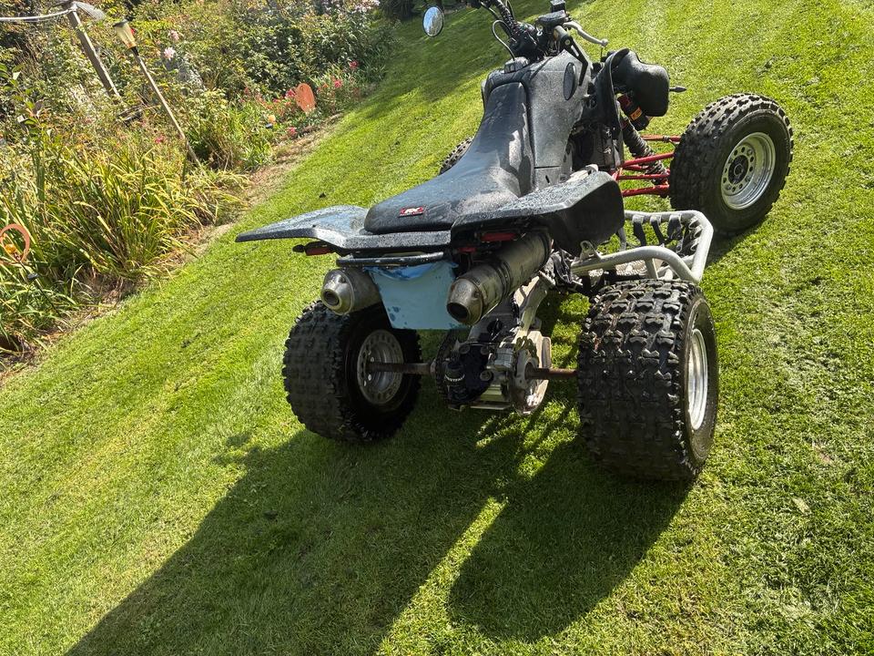 Suzuki LTZ 400 Bj. LOF Douglas Houser Elka Reiger TÜV NEU 2004 — photo 6