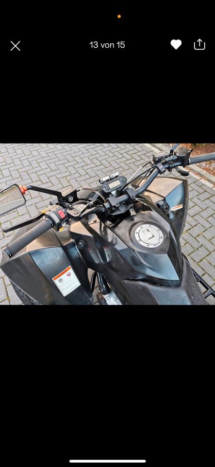  Triton Baja 400 Quad Black Lizard Edition 30ps LOF AHK 2013 — photo 11