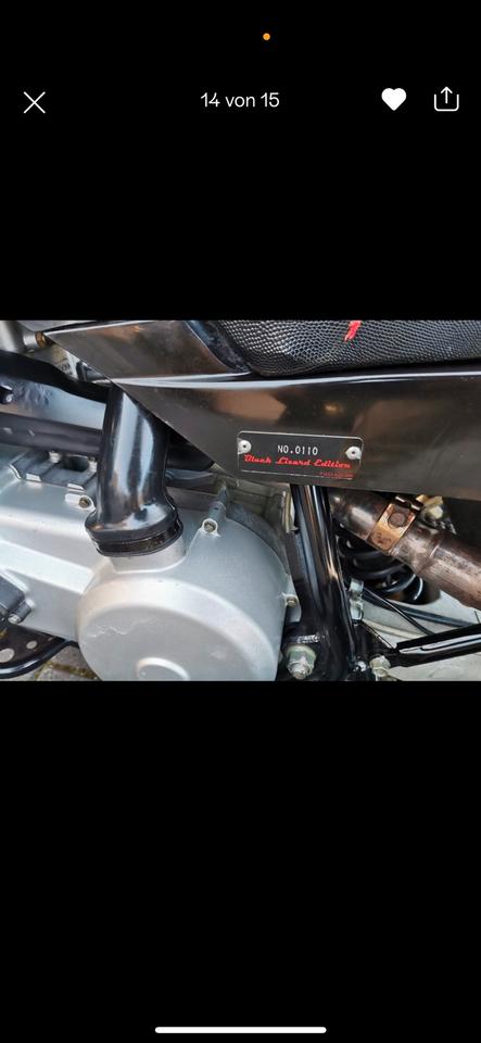  Triton Baja 400 Quad Black Lizard Edition 30ps LOF AHK 2013 — photo 12