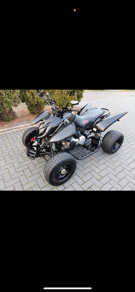  Triton Baja 400 Quad Black Lizard Edition 30ps LOF AHK 2013 — rear view