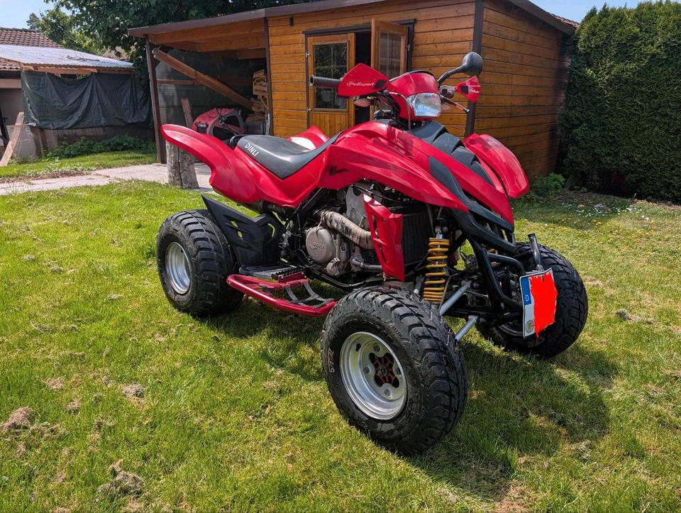 Weitere Motorräder Dinli 450 901 Quad Atv Tüv neu, 2011