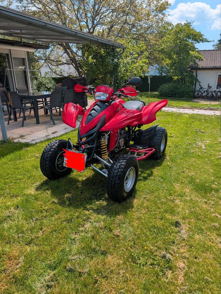 Weitere Motorräder Dinli 450 901 Quad Atv Tüv neu 2011 — вигляд ззаду