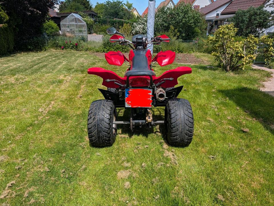 Weitere Motorräder Dinli 450 901 Quad Atv Tüv neu 2011 — салон