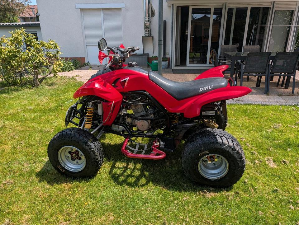 Weitere Motorräder Dinli 450 901 Quad Atv Tüv neu 2011 — двигун 450 ccm