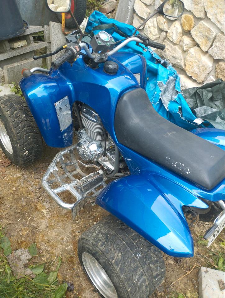  Quad Sachs 4 Rocks 250ccm 2007 — rear view