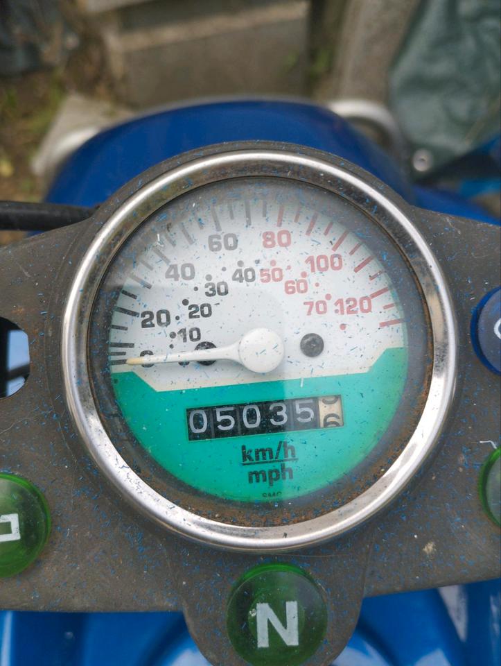  Quad Sachs 4 Rocks 250ccm 2007 — photo 5